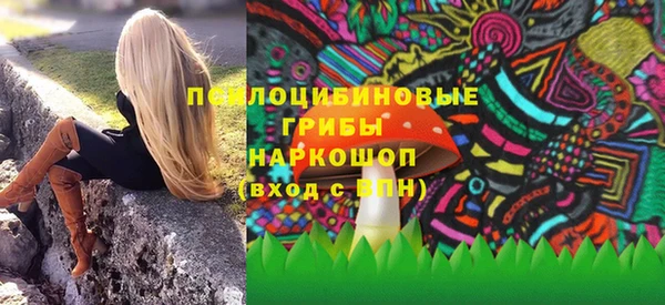ПСИЛОЦИБИНОВЫЕ ГРИБЫ Армянск