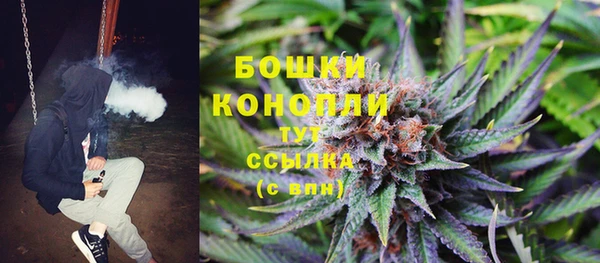 гашик Арсеньев