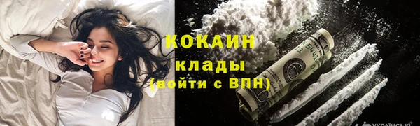 гашик Арсеньев